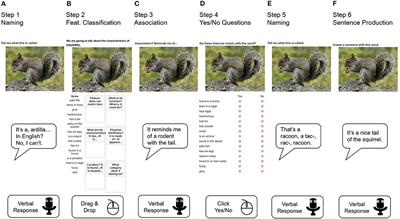 Telerehabilitation for Word Retrieval Deficits in Bilinguals With Aphasia: Effectiveness and Reliability as Compared to In-person Language Therapy